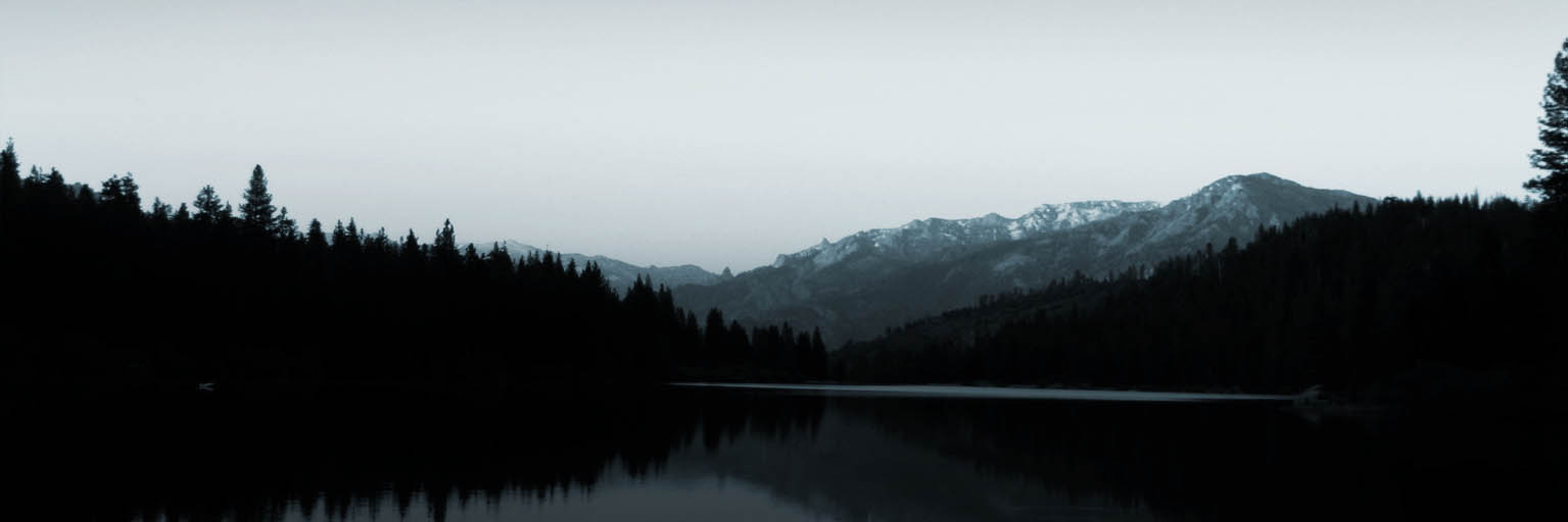 知识管理工具的CC在线压力测试