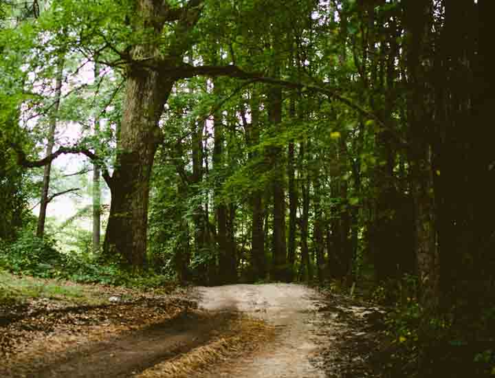 DDOS在线压力测试